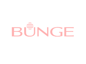 logo cliente brasil